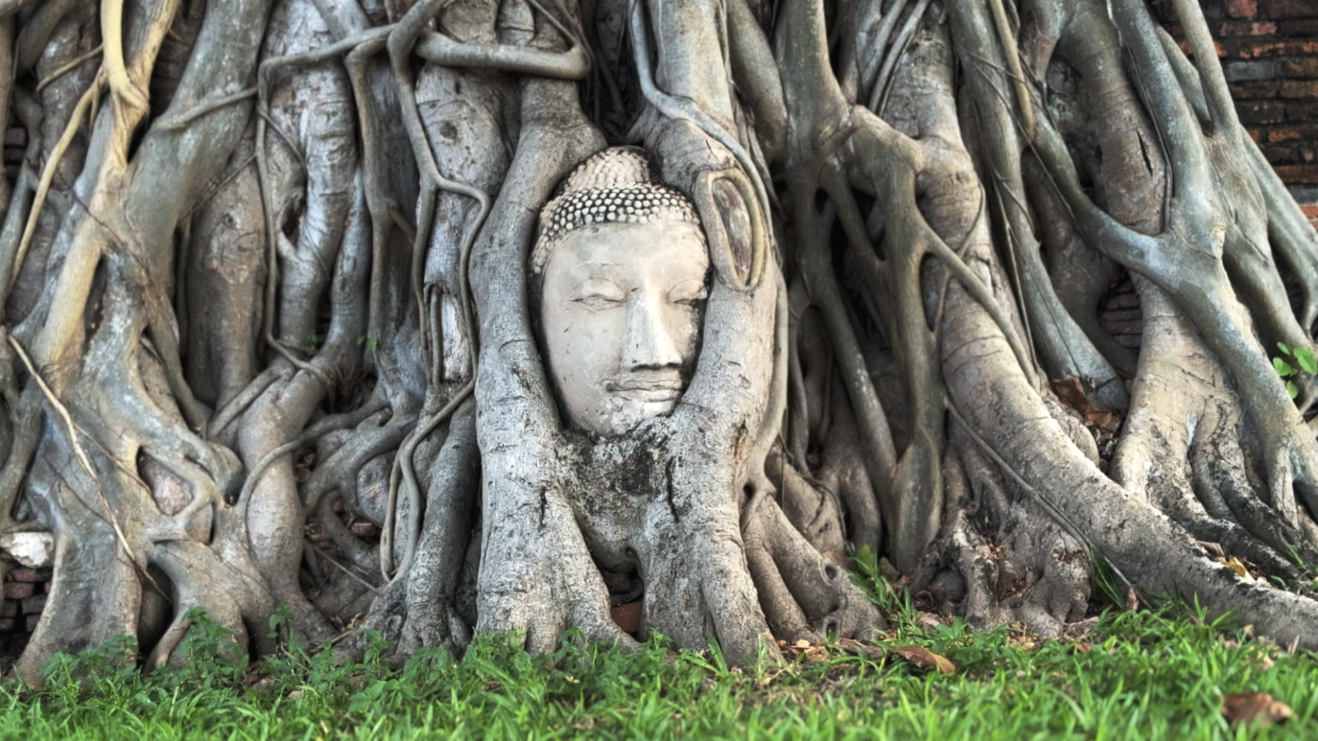 Captura de Pantalla 2025-10-03 a la(s) 17.06.03