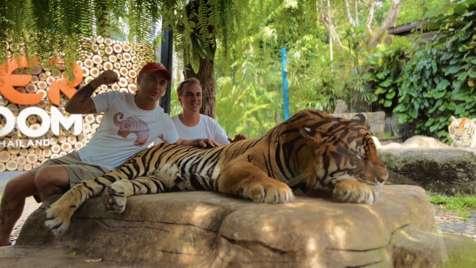 Captura de Pantalla 2025-10-08 a la(s) 9.34.47