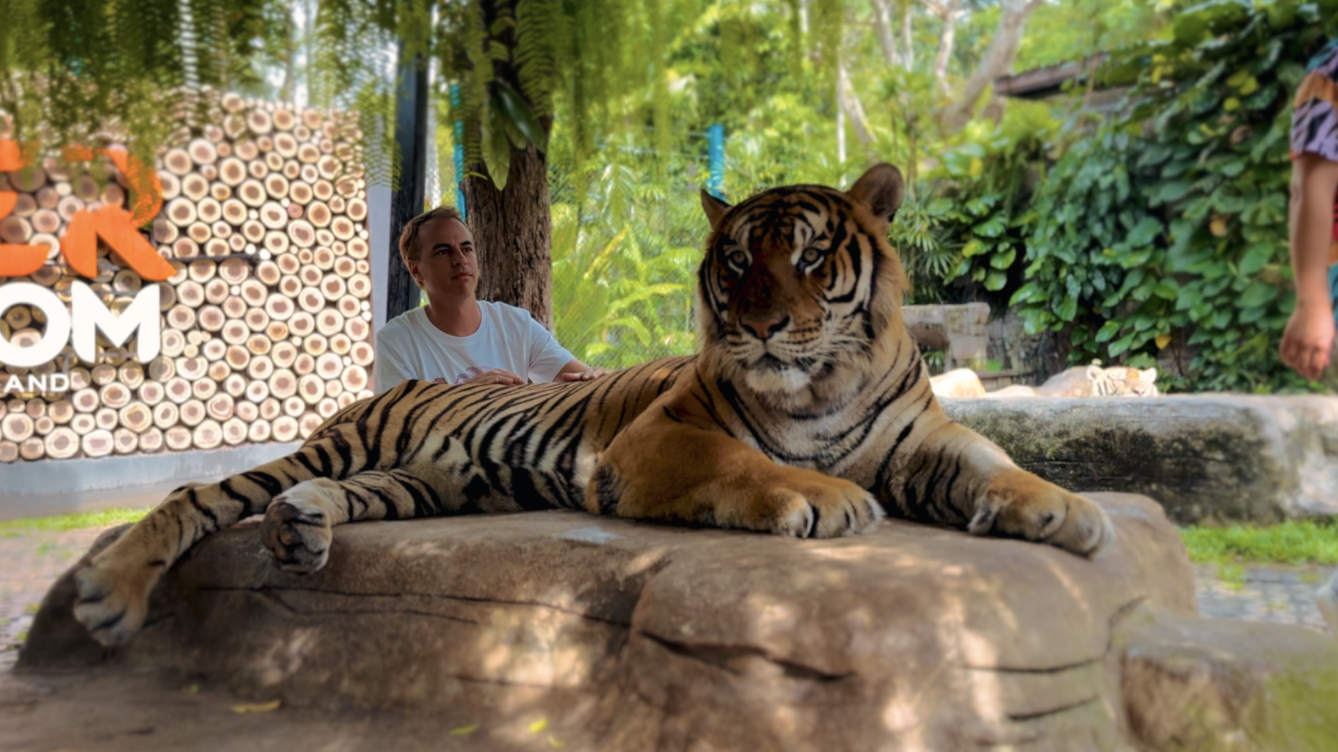 Captura de Pantalla 2025-10-08 a la(s) 9.36.34